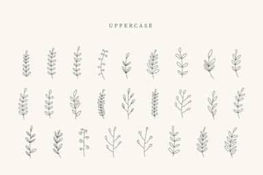 Beach Leaves by CraftedType Studio — Dingbats Font — thumbnail 2