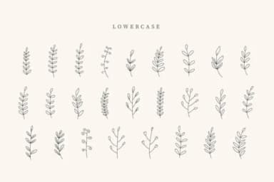 Beach Leaves by CraftedType Studio — Dingbats Font — thumbnail 3