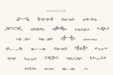 Beach Summer Divider by CraftedType Studio — Dingbats Font — thumbnail 2