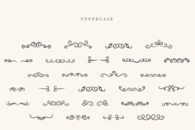 Bee Divider by CraftedType Studio — Dingbats Font — thumbnail 2