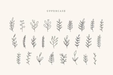 Bee Leaves by CraftedType Studio — Dingbats Font — thumbnail 2