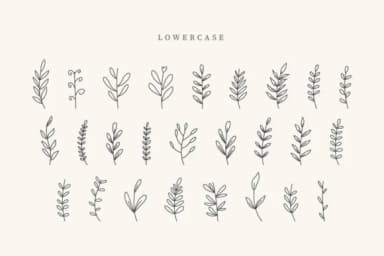 Bee Leaves by CraftedType Studio — Dingbats Font — thumbnail 3