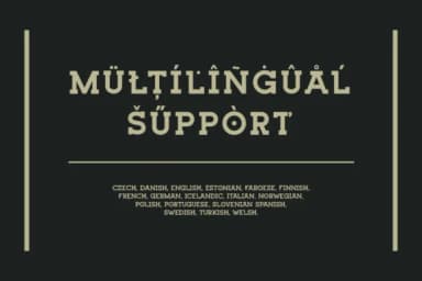 Bigtion by Naufal NI — Slab Serif Font — thumbnail 7