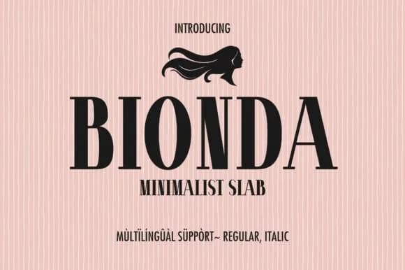 Bionda by Minimalistartstudio — Slab Serif Font