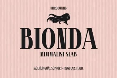 Bionda by Minimalistartstudio — Slab Serif Font — thumbnail 1