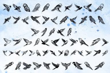 Bird Delights by MOMAT THIRTYONE — Dingbats Font — thumbnail 2