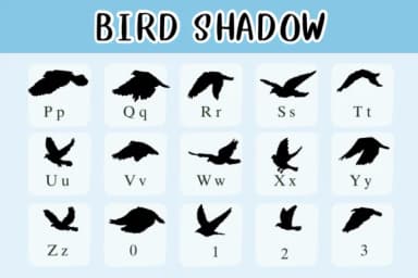 Bird Shadow by Nongyao — Dingbats Font — thumbnail 3