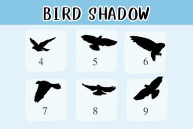 Bird Shadow by Nongyao — Dingbats Font — thumbnail 4