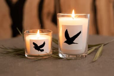 Bird Shadow by Nongyao — Dingbats Font — thumbnail 7