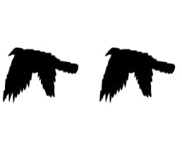 Bird Shadow by Nongyao — Dingbats Font — thumbnail 8