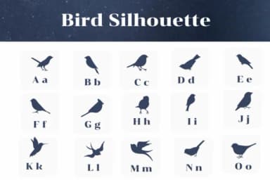 Bird Silhouette by Apiwat Type — Dingbats Font — thumbnail 2