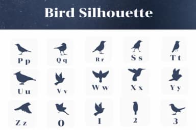 Bird Silhouette by Apiwat Type — Dingbats Font — thumbnail 3