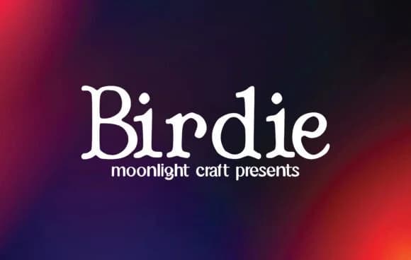 Birdie by moonlight craft — Slab Serif Font