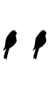Birds by Nongyao — Dingbats Font — thumbnail 8