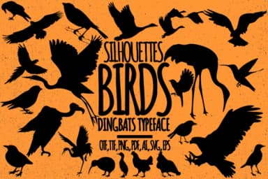Birds by Minimalistartstudio — Dingbats Font — thumbnail 1