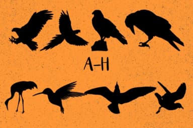 Birds by Minimalistartstudio — Dingbats Font — thumbnail 2