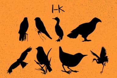 Birds by Minimalistartstudio — Dingbats Font — thumbnail 3