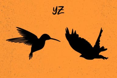 Birds by Minimalistartstudio — Dingbats Font — thumbnail 5