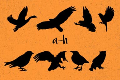 Birds by Minimalistartstudio — Dingbats Font — thumbnail 6