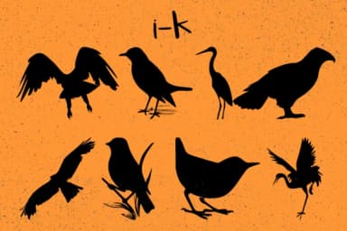 Birds by Minimalistartstudio — Dingbats Font — thumbnail 7