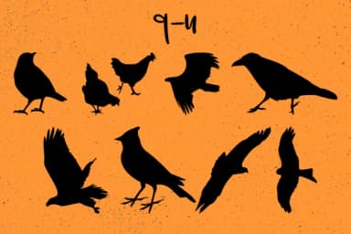 Birds by Minimalistartstudio — Dingbats Font — thumbnail 8