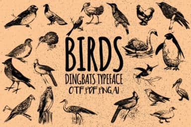 Birds by Minimalistartstudio — Dingbats Font — thumbnail 1