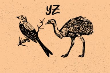 Birds by Minimalistartstudio — Dingbats Font — thumbnail 5