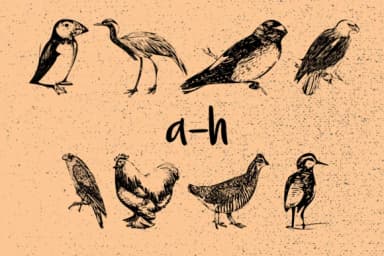 Birds by Minimalistartstudio — Dingbats Font — thumbnail 6