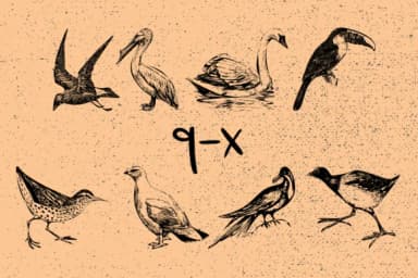 Birds by Minimalistartstudio — Dingbats Font — thumbnail 8