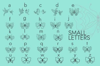 Birds and Butterflies by Minimalistartstudio — Dingbats Font — thumbnail 2