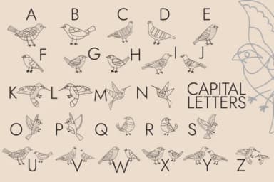Birds and Butterflies by Minimalistartstudio — Dingbats Font — thumbnail 3