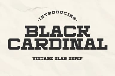 Black Cardinal by Intype Studio — Slab Serif Font — thumbnail 1