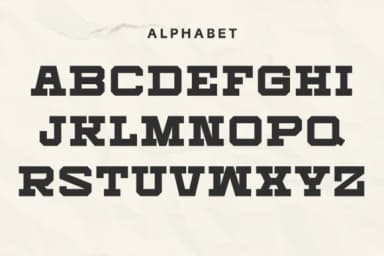 Black Cardinal by Intype Studio — Slab Serif Font — thumbnail 7