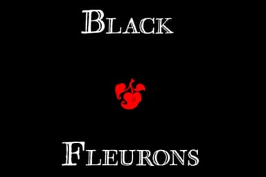 Black Fleurons by Intellecta Design — Dingbats Font — thumbnail 4