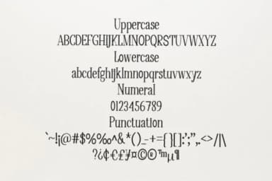 Black Line by NYA Letter — Slab Serif Font — thumbnail 5