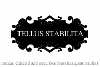 Black Ornaments by Intellecta Design — Dingbats Font — thumbnail 2