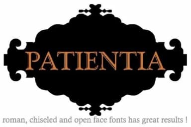 Black Ornaments by Intellecta Design — Dingbats Font — thumbnail 4