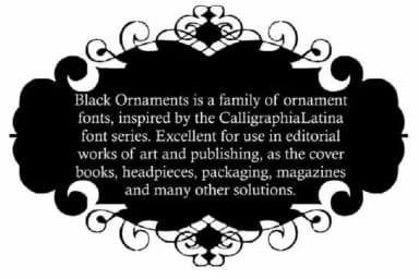 Black Ornaments by Intellecta Design — Dingbats Font — thumbnail 6