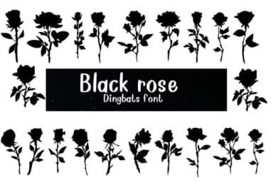 Black Rose by Nongyao — Dingbats Font — thumbnail 1