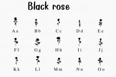 Black Rose by Nongyao — Dingbats Font — thumbnail 2