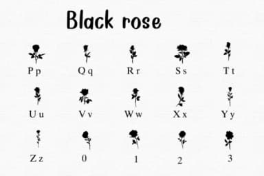 Black Rose by Nongyao — Dingbats Font — thumbnail 3