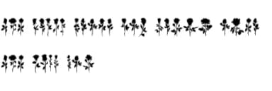 Black Rose by Nongyao — Dingbats Font — thumbnail 8