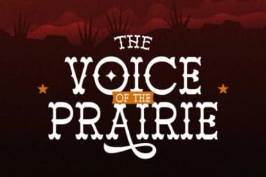 Blank Gunshot by Arterfak Project — Slab Serif Font — thumbnail 5