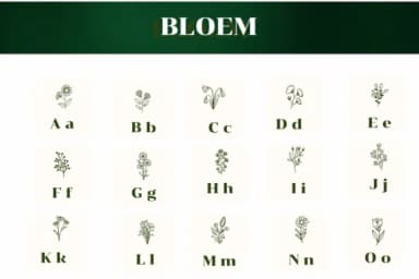 Bloem by Apiwat Type — Dingbats Font — thumbnail 2