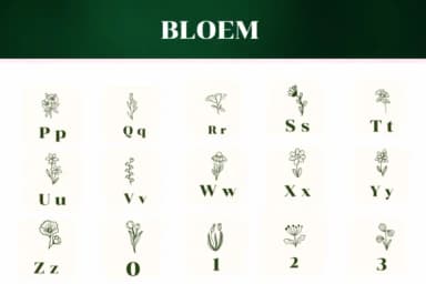 Bloem by Apiwat Type — Dingbats Font — thumbnail 3
