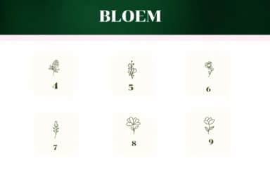 Bloem by Apiwat Type — Dingbats Font — thumbnail 4