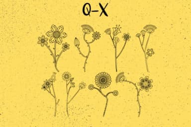 Bloom by Minimalistartstudio — Dingbats Font — thumbnail 4