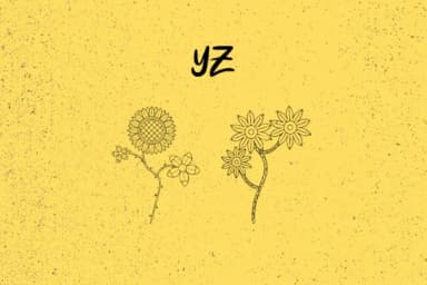 Bloom by Minimalistartstudio — Dingbats Font — thumbnail 5