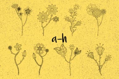 Bloom by Minimalistartstudio — Dingbats Font — thumbnail 6