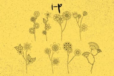 Bloom by Minimalistartstudio — Dingbats Font — thumbnail 7